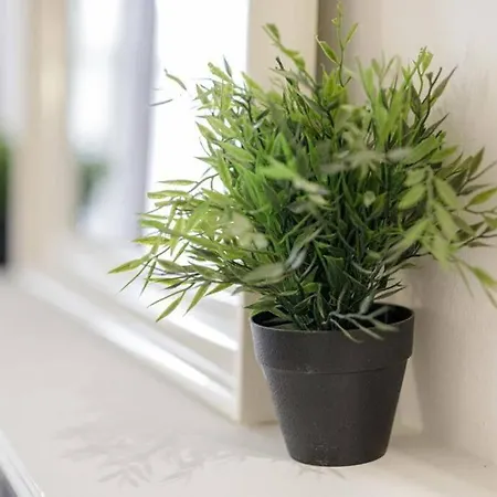 Golden - Old Town - Great Location &uniwersytecka Вроцлав