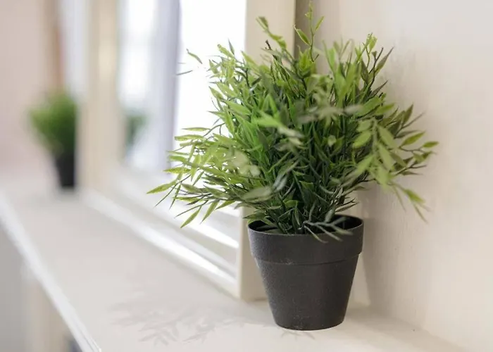 Golden - Old Town - Great Location &uniwersytecka Wrocław